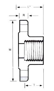 Threaded Flange